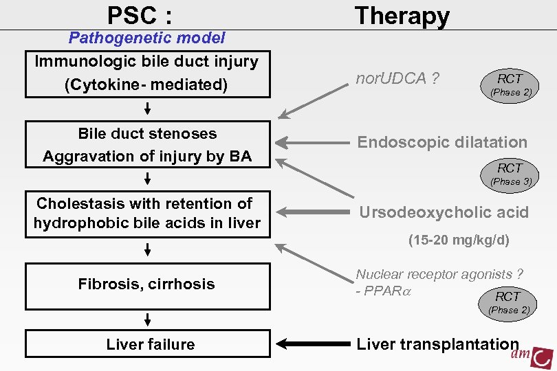 PSC : Pathogenetic model Immunologic bile duct injury (Cytokine- mediated) Bile duct stenoses Aggravation