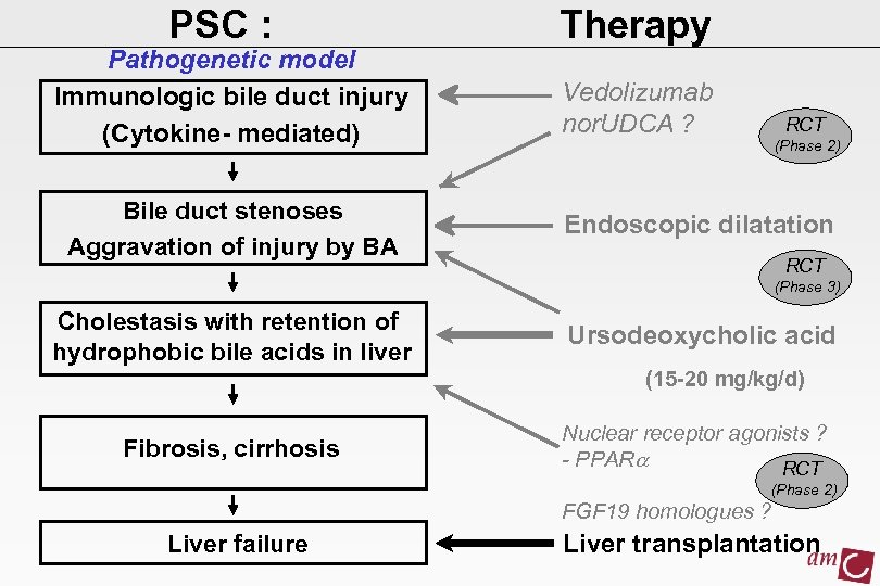 PSC : Pathogenetic model Immunologic bile duct injury (Cytokine- mediated) Bile duct stenoses Aggravation