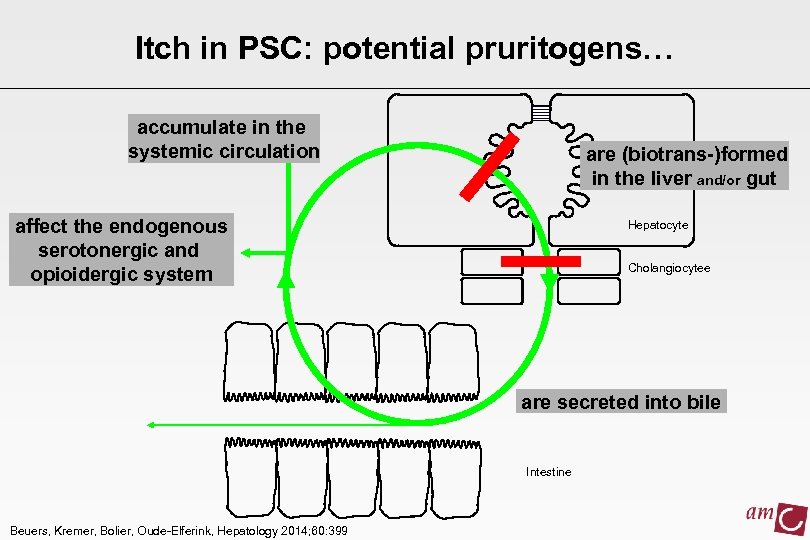 Itch in PSC: potential pruritogens… accumulate in the systemic circulation are (biotrans-)formed in the