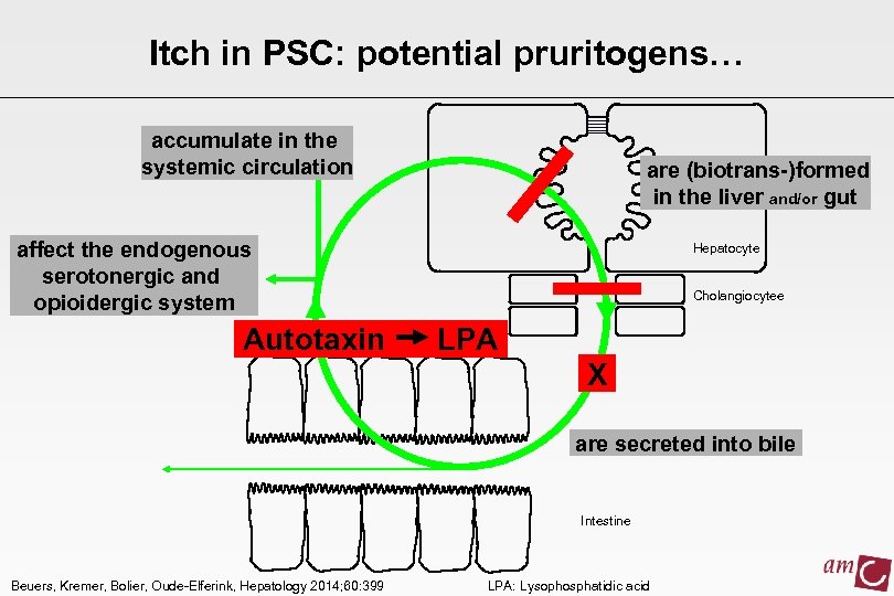 Itch in PSC: potential pruritogens… accumulate in the systemic circulation are (biotrans-)formed in the