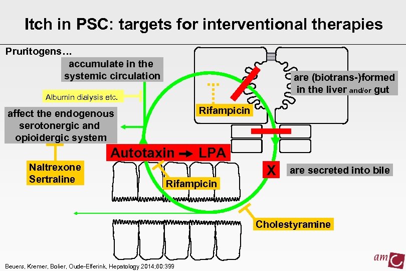 Itch in PSC: targets for interventional therapies Pruritogens… accumulate in the systemic circulation are