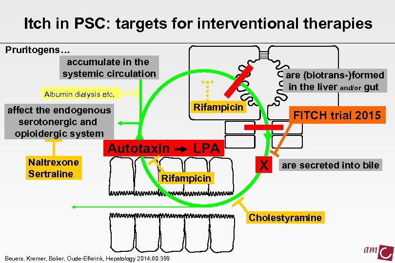 Itch in PSC: targets for interventional therapies Pruritogens… accumulate in the systemic circulation are