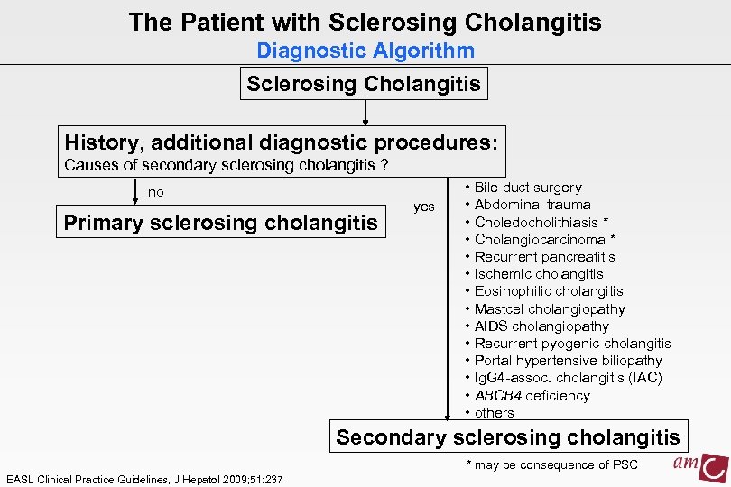 The Patient with Sclerosing Cholangitis Diagnostic Algorithm Sclerosing Cholangitis History, additional diagnostic procedures: Causes