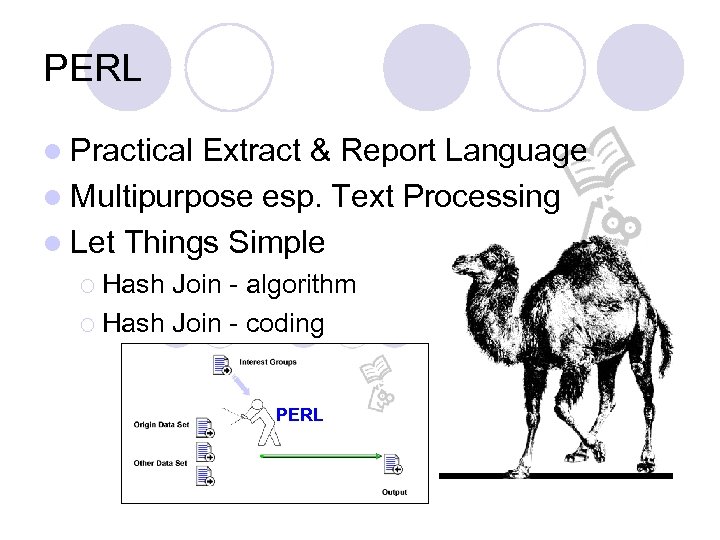 PERL l Practical Extract & Report Language l Multipurpose esp. Text Processing l Let