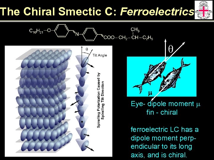 The Chiral Smectic C: Ferroelectrics q m Eye- dipole moment m fin - chiral