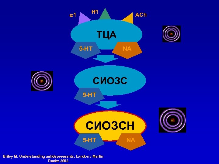  1 H 1 ACh ТЦА 5 -HT NA СИОЗС 5 -HT СИОЗСН 5