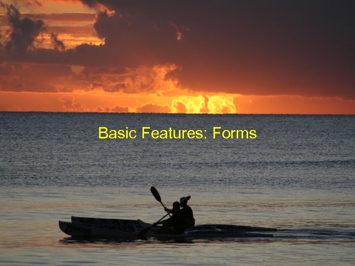 Basic Features: Forms 