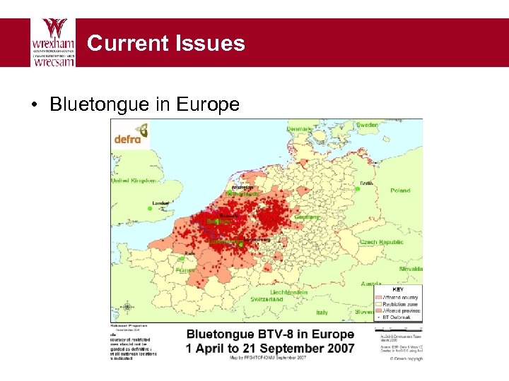 Current Issues • Bluetongue in Europe 