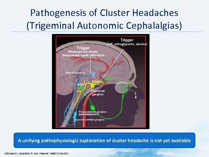 Pathogenesis of Cluster Headaches (Trigeminal Autonomic Cephalalgias) A unifying pathophysiologic explanation of cluster headache