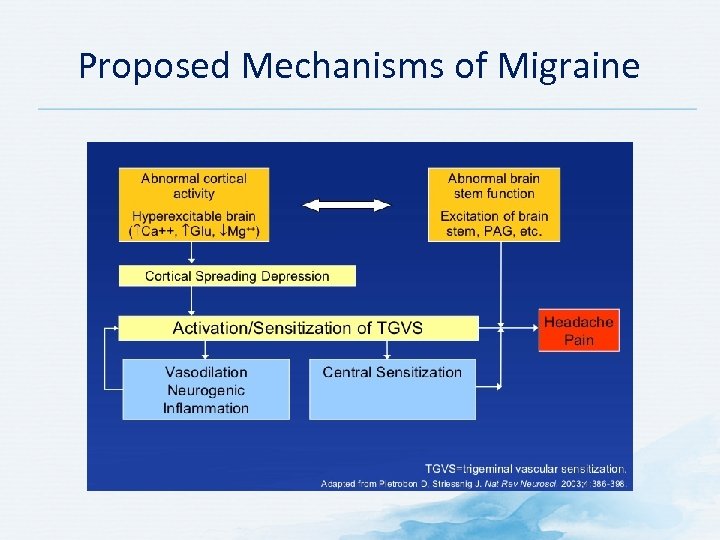 Proposed Mechanisms of Migraine 