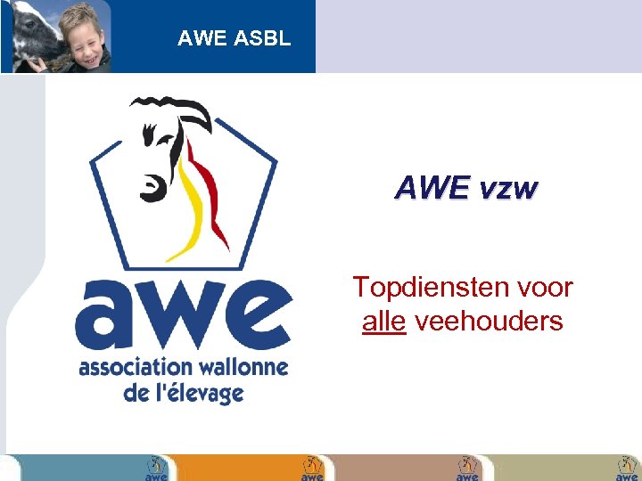 AWE ASBL AWE vzw Topdiensten voor alle veehouders 