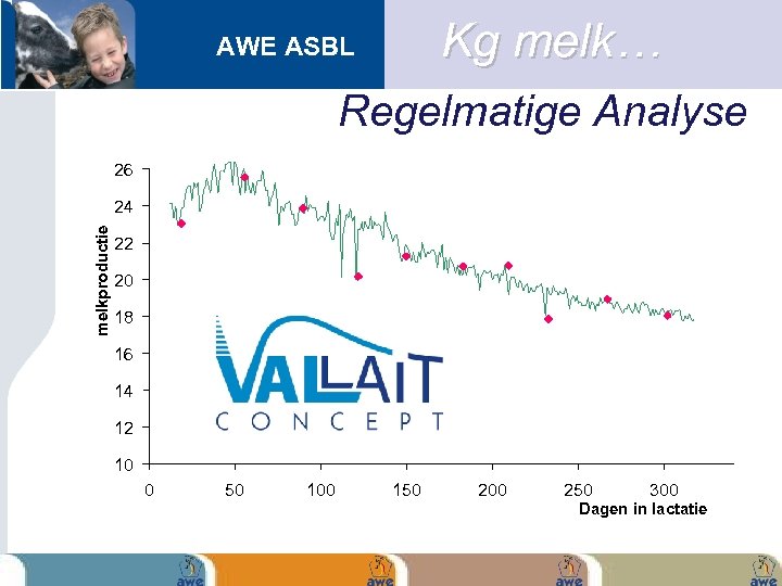 Kg melk… AWE ASBL Regelmatige Analyse 26 melkproductie 24 22 20 18 16 14