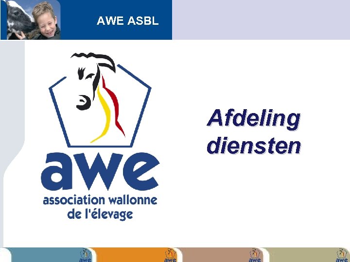 AWE ASBL Afdeling diensten 