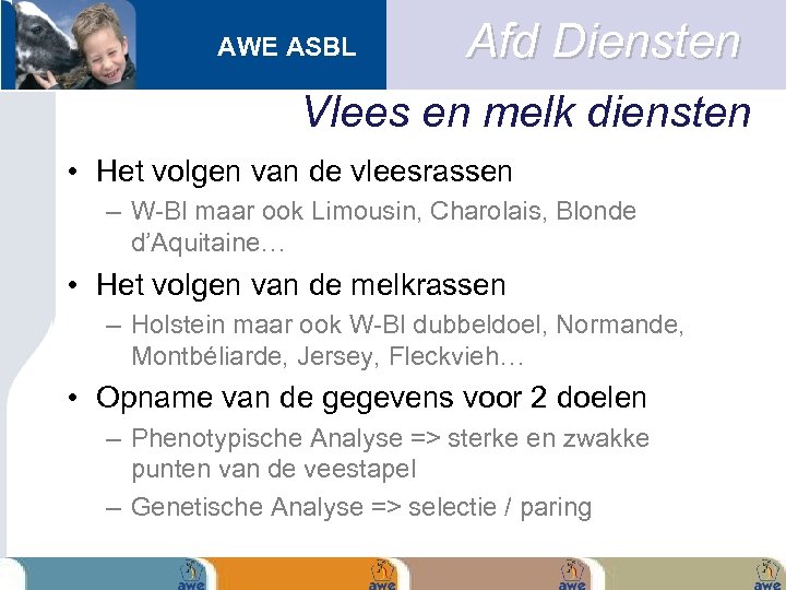 AWE ASBL Afd Diensten Vlees en melk diensten • Het volgen van de vleesrassen
