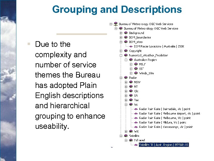 Grouping and Descriptions § Due to the complexity and number of service themes the