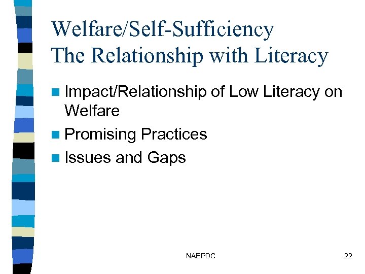 Welfare/Self-Sufficiency The Relationship with Literacy n Impact/Relationship of Low Literacy on Welfare n Promising
