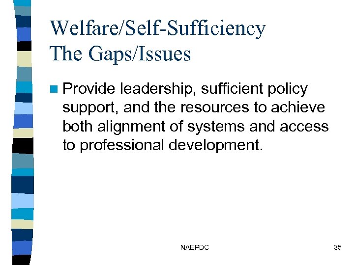 Welfare/Self-Sufficiency The Gaps/Issues n Provide leadership, sufficient policy support, and the resources to achieve