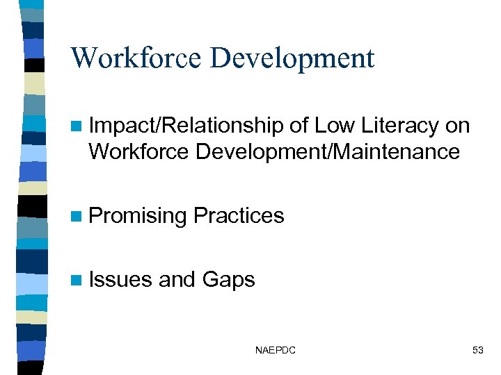 Workforce Development n Impact/Relationship of Low Literacy on Workforce Development/Maintenance n Promising n Issues