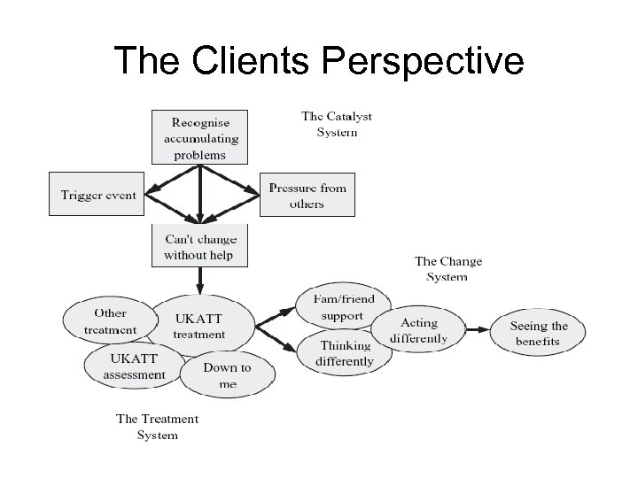 The Clients Perspective 