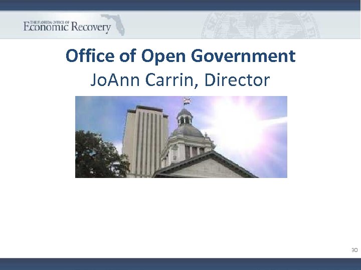 Office of Open Government Jo. Ann Carrin, Director 30 