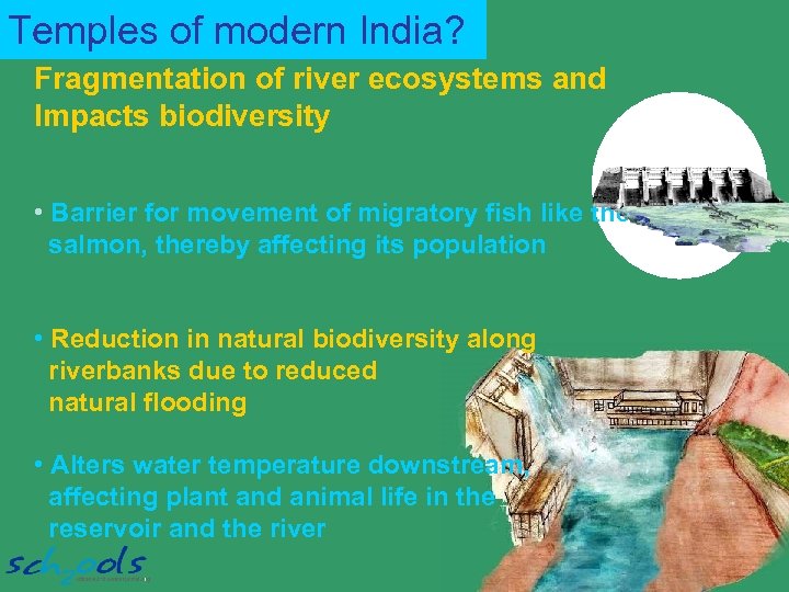 Temples of modern India? Fragmentation of river ecosystems and Impacts biodiversity • Barrier for