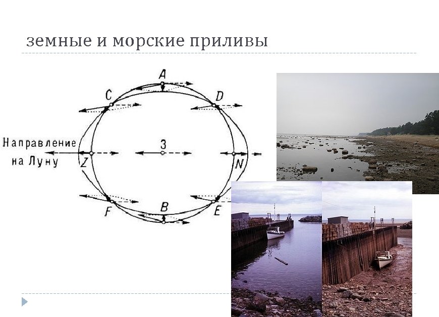 земные и морские приливы 