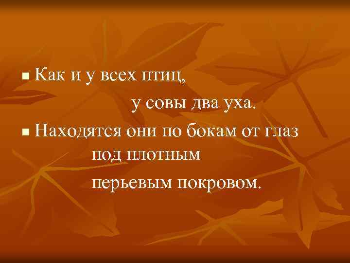 Как и у всех птиц, у совы два уха. n Находятся они по бокам