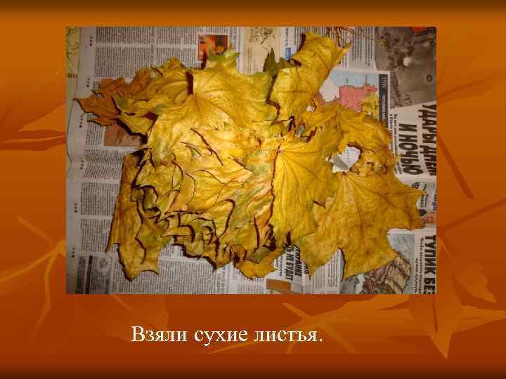 Взяли сухие листья. 