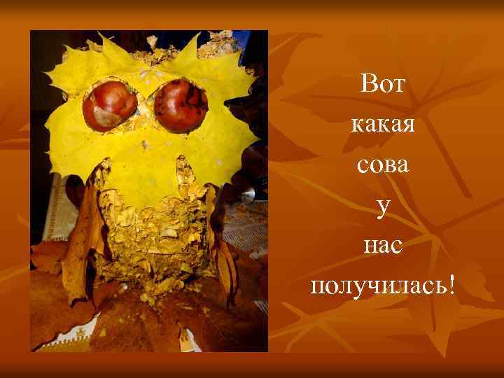 Вот какая сова у нас получилась! 