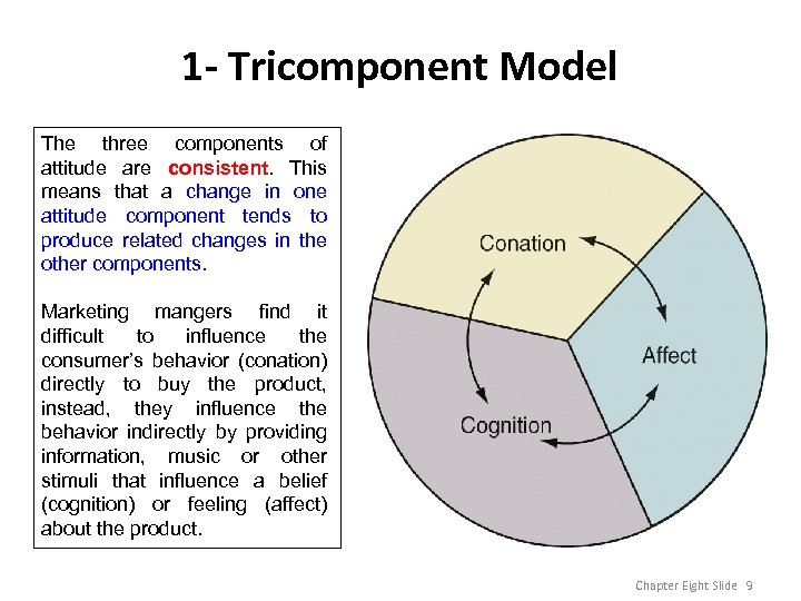 1 - Tricomponent Model The three components of attitude are consistent. This means that