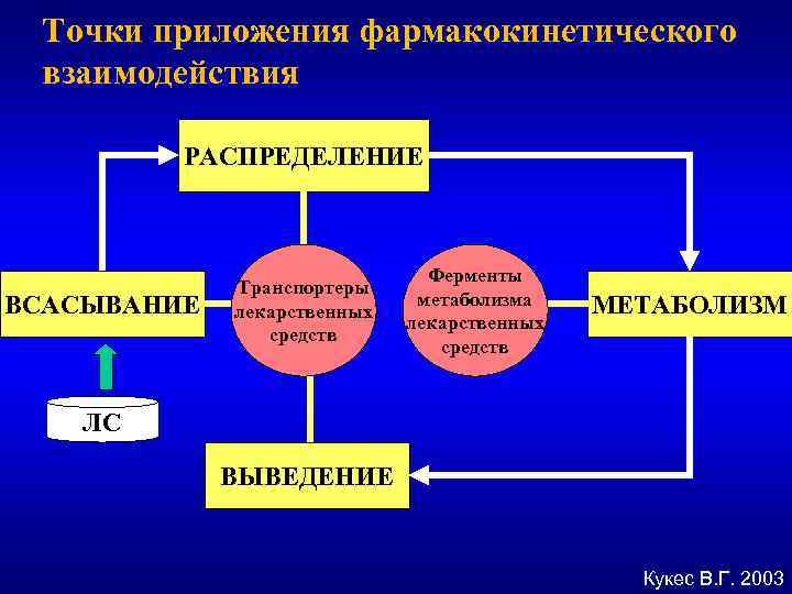 Точки приложения фармакокинетического взаимодействия РАСПРЕДЕЛЕНИЕ ВСАСЫВАНИЕ Транспортеры лекарственных средств Ферменты метаболизма лекарственных средств МЕТАБОЛИЗМ