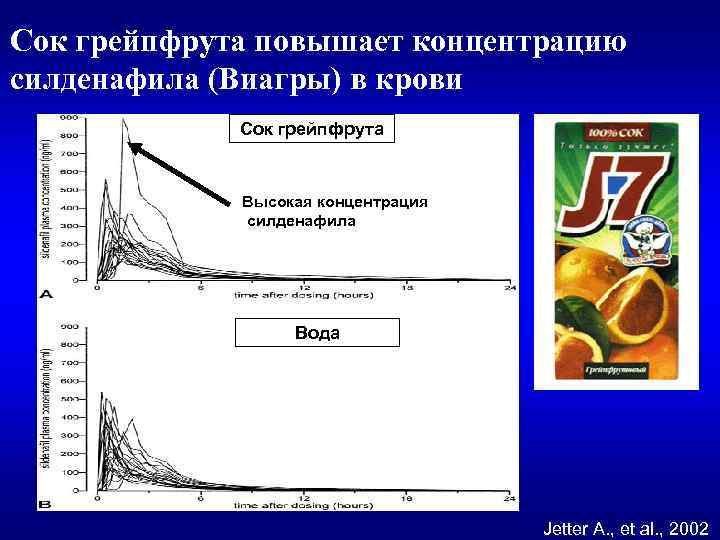 Сок грейпфрута повышает концентрацию силденафила (Виагры) в крови Сок грейпфрута Высокая концентрация силденафила Вода