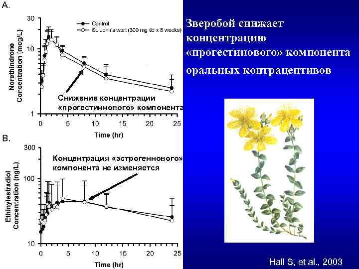 Зверобой снижает концентрацию «прогестинового» компонента оральных контрацептивов Снижение концентрации «прогестиннового» компонента Концентрация «эстрогеннового» компонента