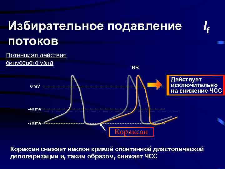 Избирательное подавление потоков Потенциал действия синусового узла 0 m. V If RR Действует исключительно