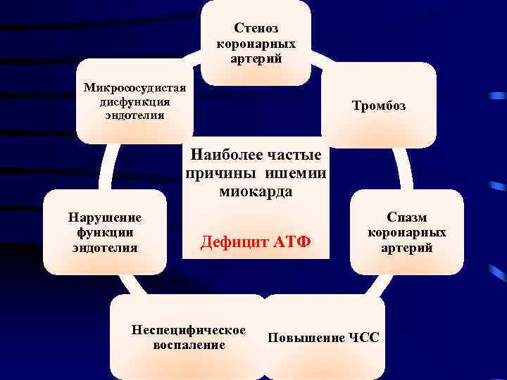 Стеноз коронарных артерий Микрососудистая дисфункция эндотелия Тромбоз Наиболее частые причины ишемии миокарда Нарушение функции