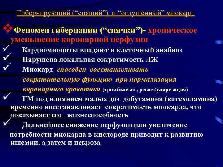 Гибернирующий (“спящий”) и “оглушенный” миокард v. Феномен гибернации (“спячки”)- хроническое уменьшение коронарной перфузии ü
