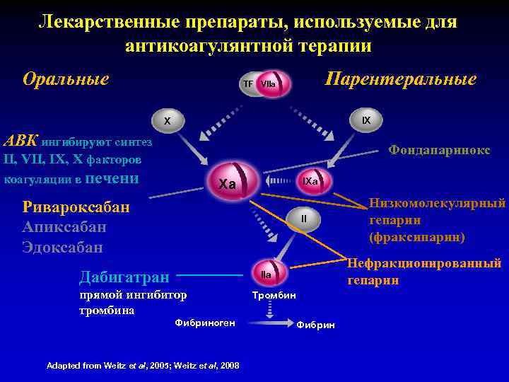 Лекарственные препараты, используемые для антикоагулянтной терапии Оральные Парентеральные TF VIIa IX X АВК ингибируют