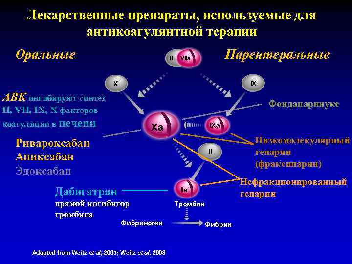 Лекарственные препараты, используемые для антикоагулянтной терапии Оральные Парентеральные TF VIIa IX X АВК ингибируют