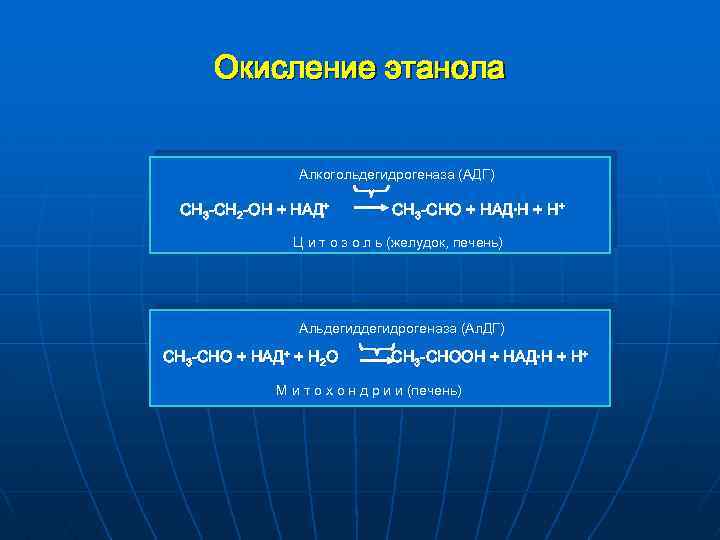 Окисление этанола Алкогольдегидрогеназа (АДГ) CH 3 -CH 2 -OH + НАД+ CH 3 -CHO