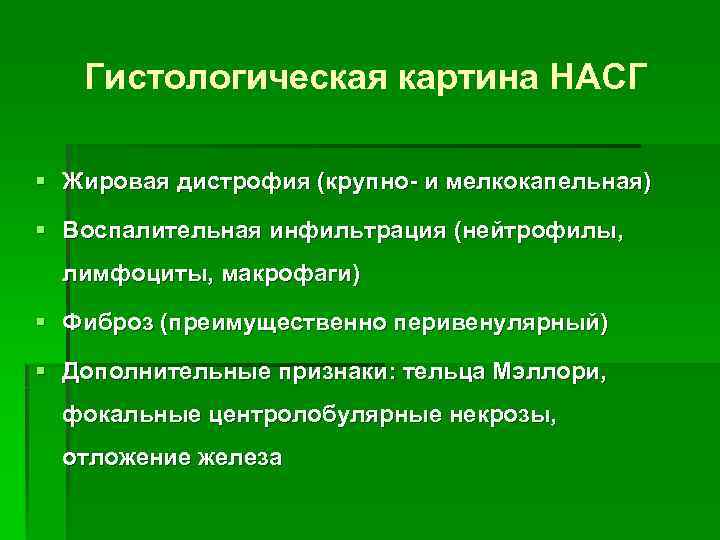 Гистологическая картина НАСГ § Жировая дистрофия (крупно- и мелкокапельная) § Воспалительная инфильтрация (нейтрофилы, лимфоциты,