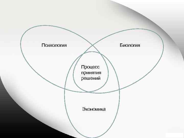 Психология Биология Процесс принятия решений Экономика 