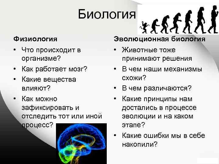Биология Физиология Эволюционная биология • Что происходит в организме? • Как работает мозг? •