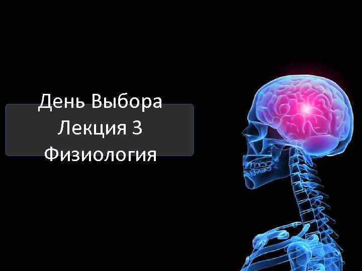 День Выбора Лекция 3 Физиология 