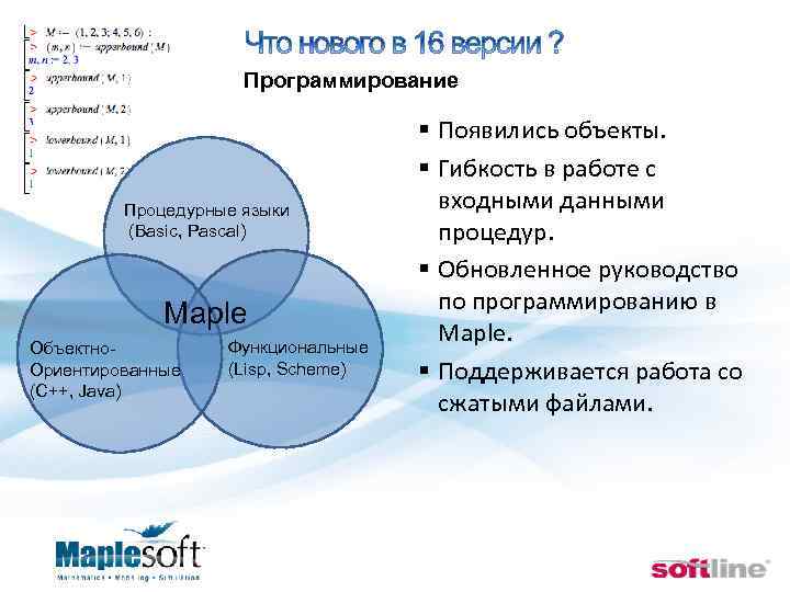  Программирование Процедурные языки (Basic, Pascal) Maple Объектно. Ориентированные (C++, Java) Функциональные (Lisp, Scheme)
