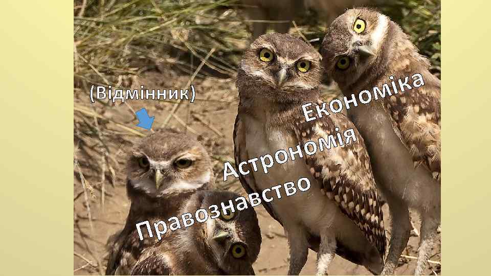 (Відмінник) ра П он Ек ія ом он стр А тво вс на оз