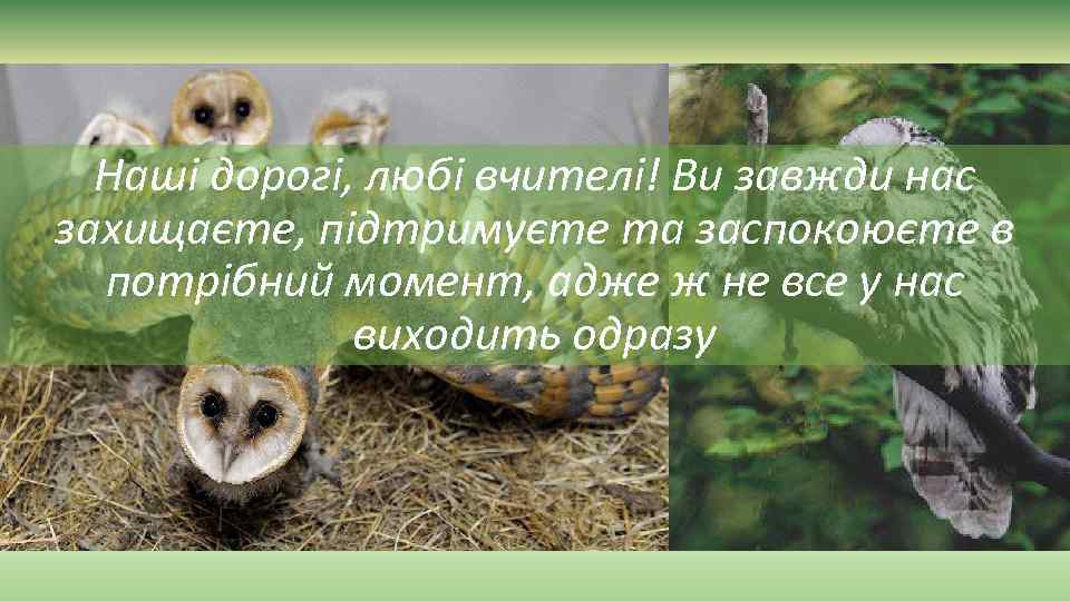 Наші дорогі, любі вчителі! Ви завжди нас захищаєте, підтримуєте та заспокоюєте в потрібний момент,