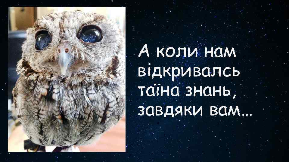 А коли нам відкривалсь таїна знань, завдяки вам… 