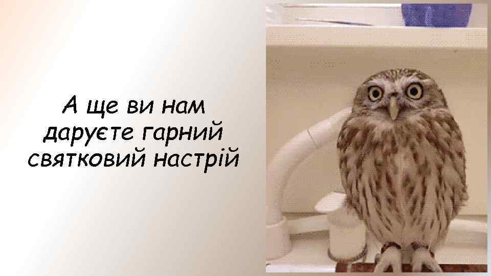 А ще ви нам даруєте гарний святковий настрій 