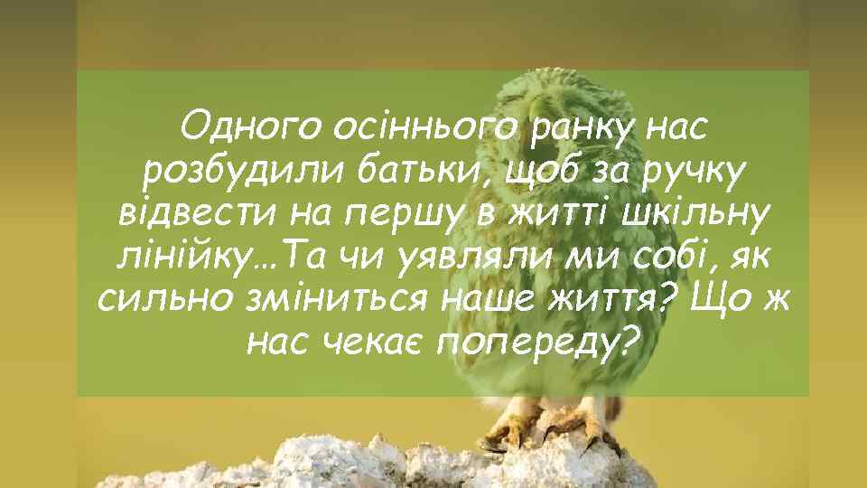 Одного осіннього ранку нас розбудили батьки, щоб за ручку відвести на першу в житті