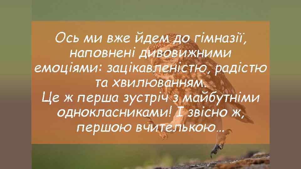 Ось ми вже йдем до гімназії, наповнені дивовижними емоціями: зацікавленістю, радістю та хвилюванням. Це